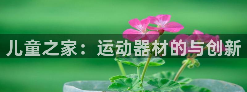 德国征途国际集团:儿童之家:运动器材的与创新