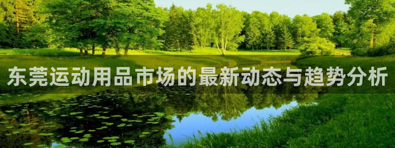 征途国际招商:东莞运动用品市场的最新动态与趋势分析