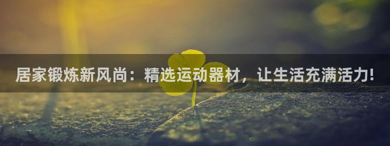 征途国际科技:居家锻炼新风尚:精选运动器材,让生活充满活力!