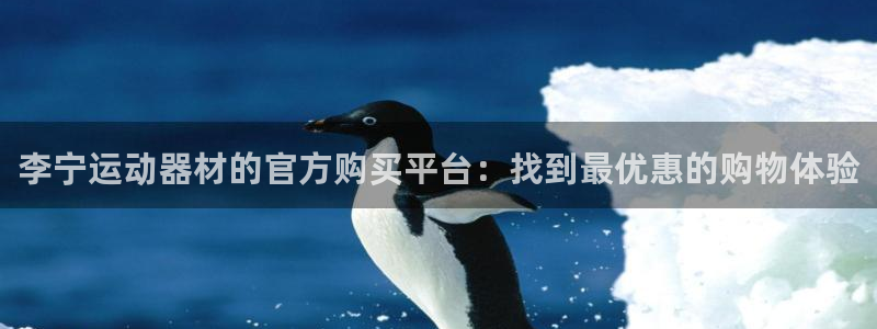 征途国际集团:李宁运动器材的官方购买平台:找到最优惠的购物体