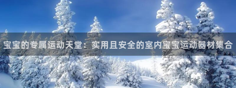 征途国际注册:宝宝的专属运动天堂:实用且安全的室内宝宝运动器