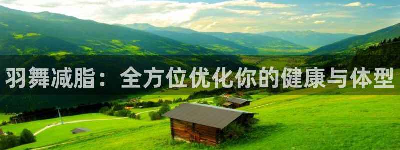 征途国际集团:羽舞减脂:全方位优化你的健康与体型